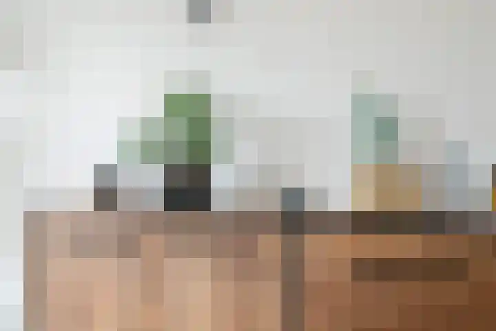 Belcamposingel 49 Groningen thumbnail 20