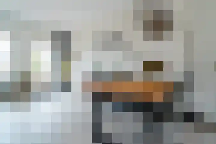 Belcamposingel 49 Groningen thumbnail 21