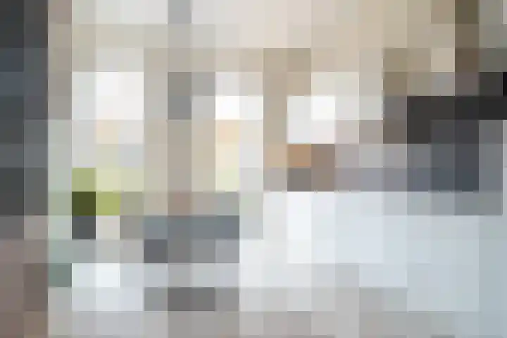 Belcamposingel 49 Groningen thumbnail 24