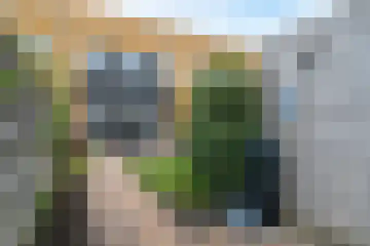 Belcamposingel 49 Groningen thumbnail 44