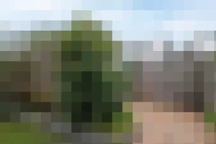 Belcamposingel 49 Groningen thumbnail 47