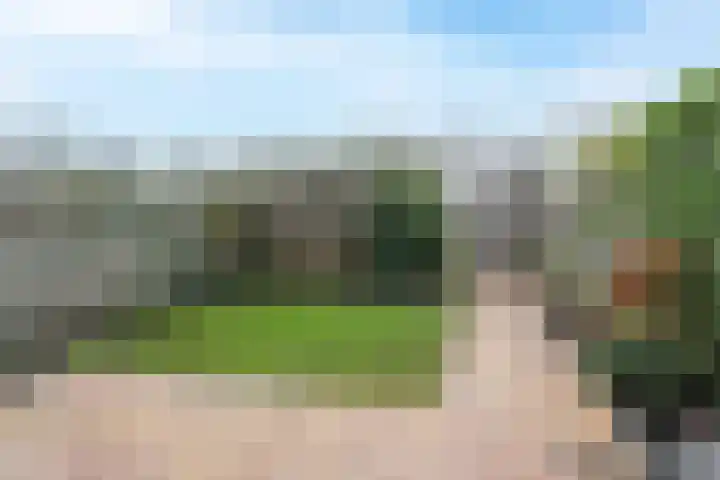 Belcamposingel 49 Groningen thumbnail 6