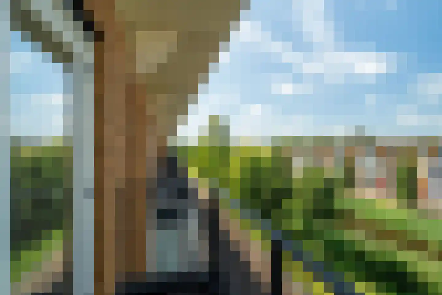 Belcamposingel 62 Groningen thumbnail 47