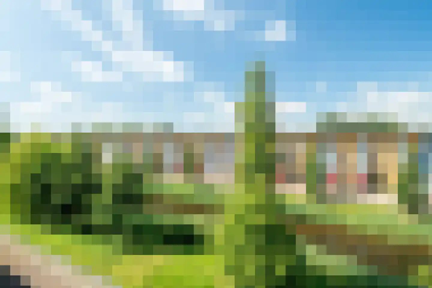 Belcamposingel 62 Groningen thumbnail 48