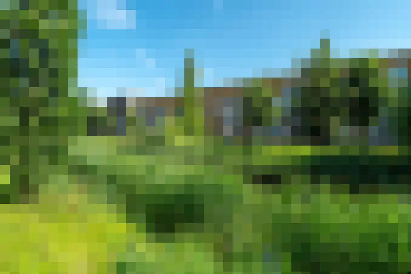 Belcamposingel 62 Groningen thumbnail 9