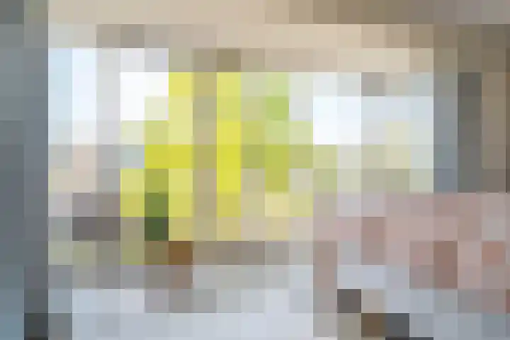 Belcamposingel 78 Groningen thumbnail 35