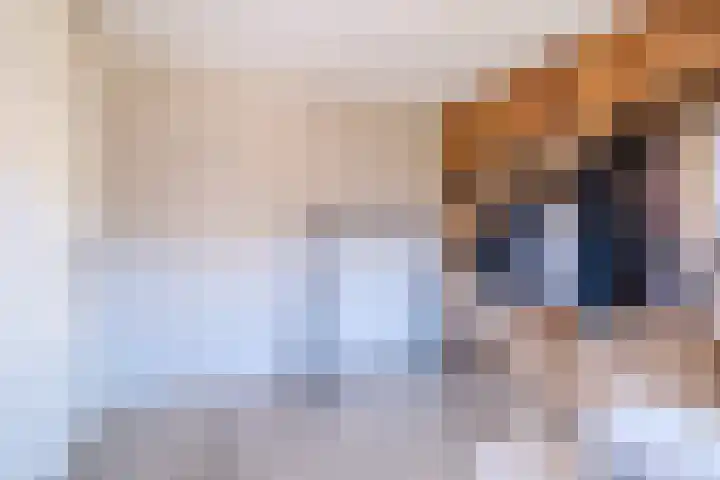 Belcamposingel 78 Groningen thumbnail 38
