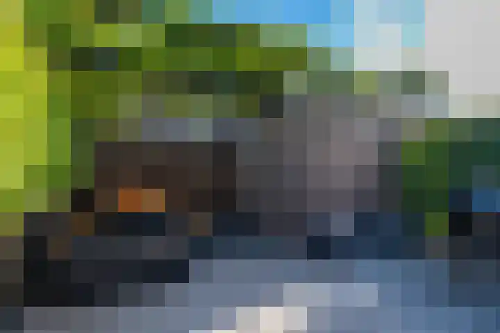 Belcamposingel 78 Groningen thumbnail 59