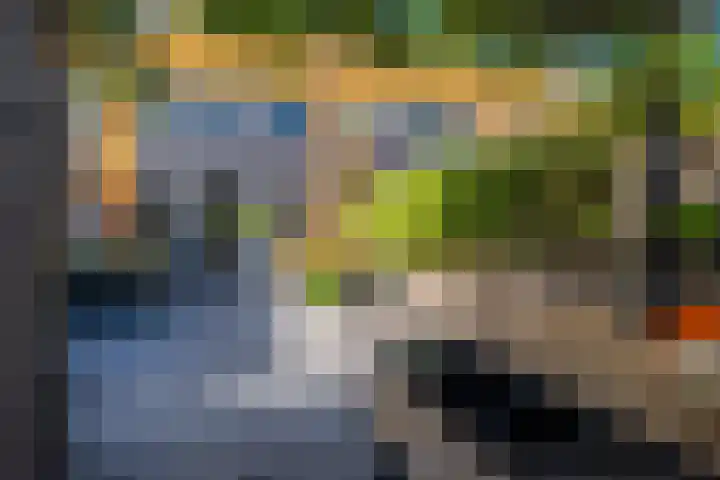 Belcamposingel 78 Groningen thumbnail 61