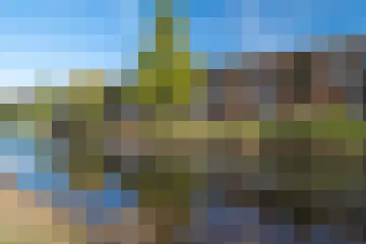 Belcamposingel 78 Groningen thumbnail 66