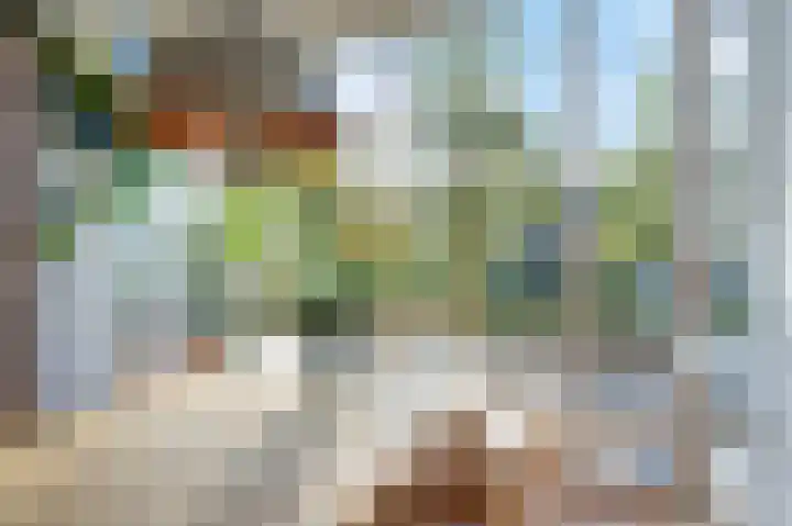 Belcamposingel 94 Groningen thumbnail 20