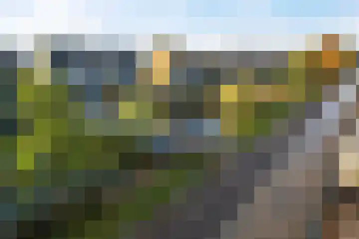 Belcamposingel 94 Groningen thumbnail 43