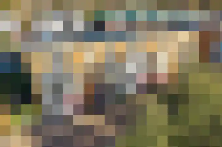 Belcamposingel 94 Groningen thumbnail 53