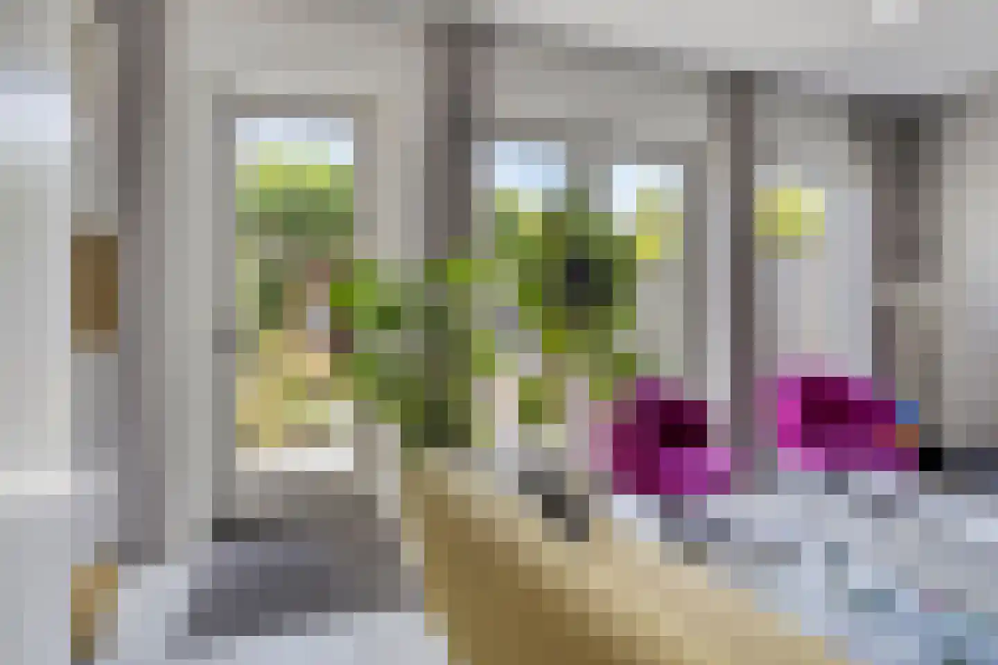 Belcamposingel 98 Groningen thumbnail 20