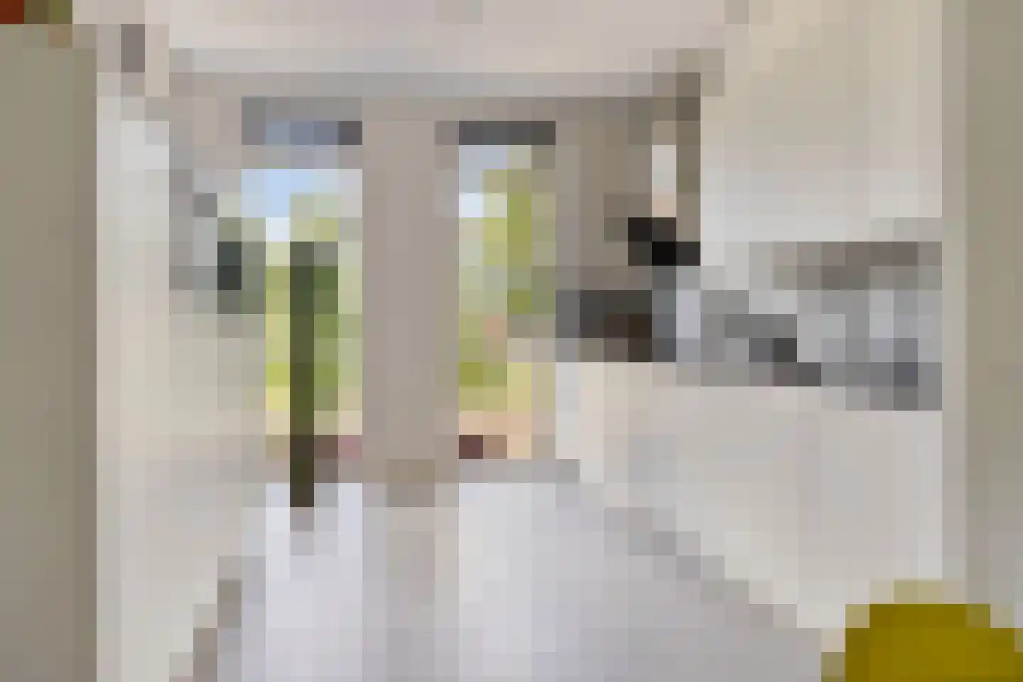 Belcamposingel 98 Groningen thumbnail 25