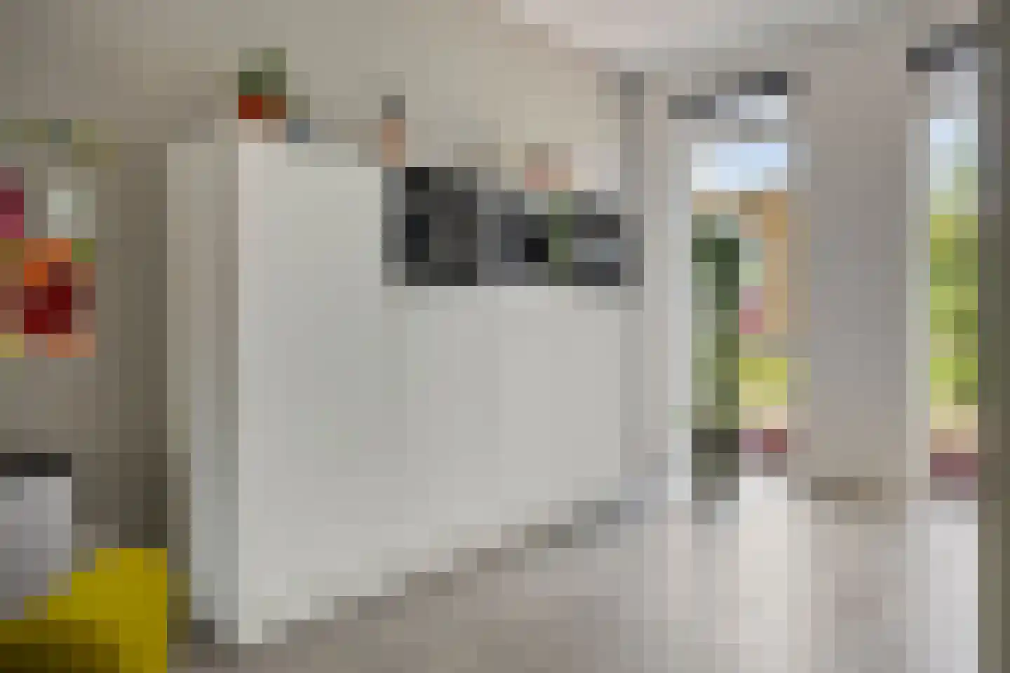 Belcamposingel 98 Groningen thumbnail 27
