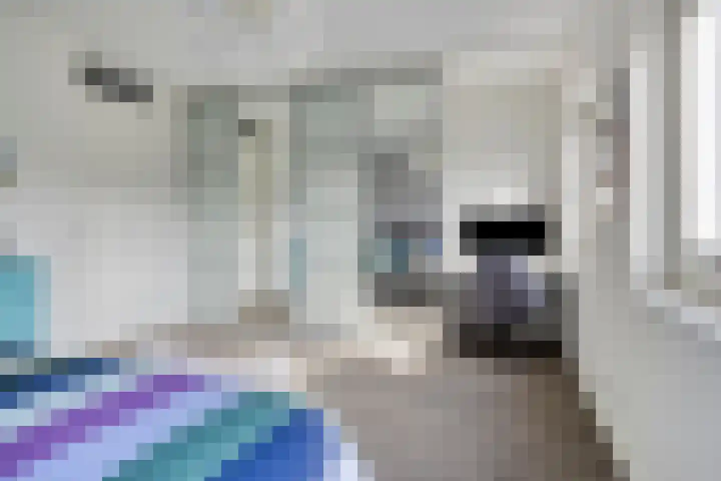 Belcamposingel 98 Groningen thumbnail 36
