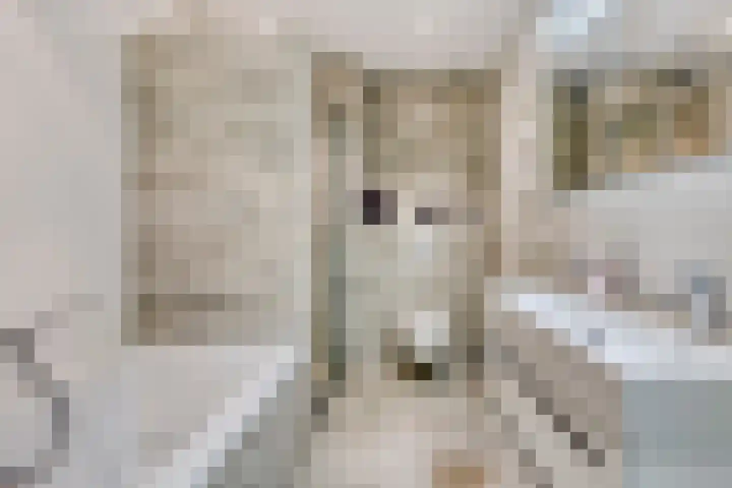 Belcamposingel 98 Groningen thumbnail 37