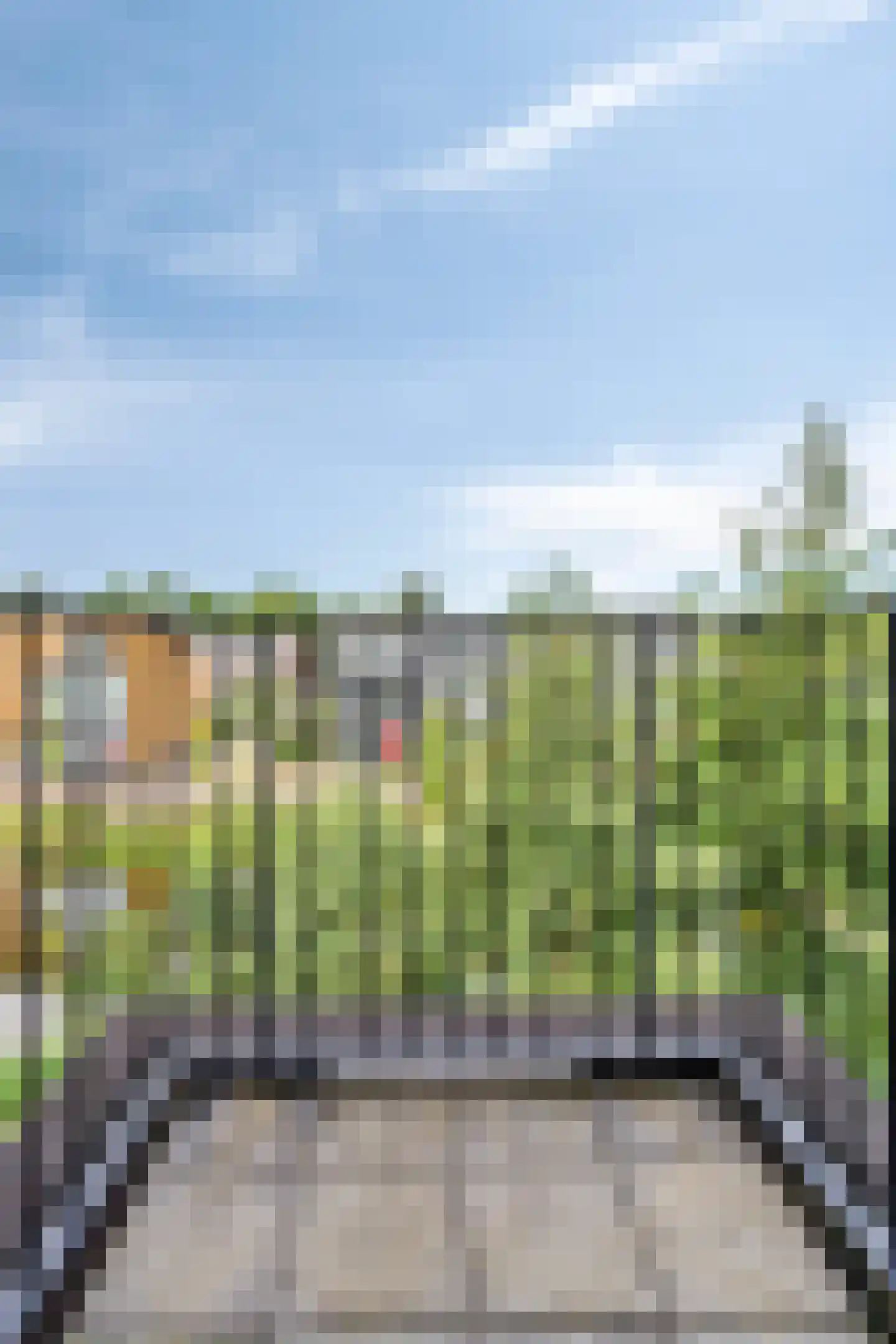 Belcamposingel 98 Groningen thumbnail 58
