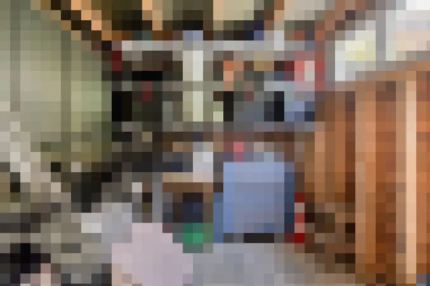 Belcamposingel 98 Groningen thumbnail 61