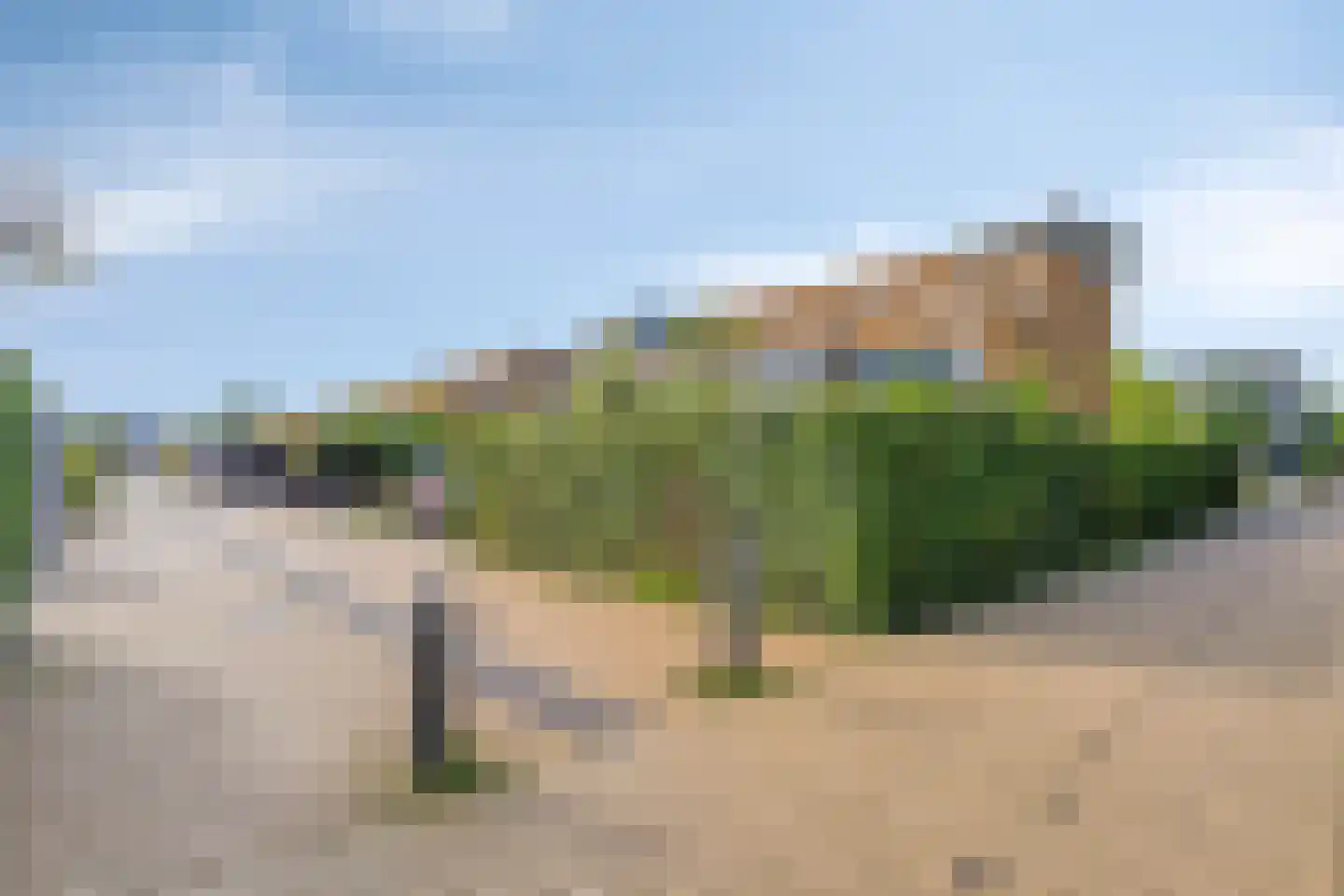 Belcamposingel 98 Groningen thumbnail 62