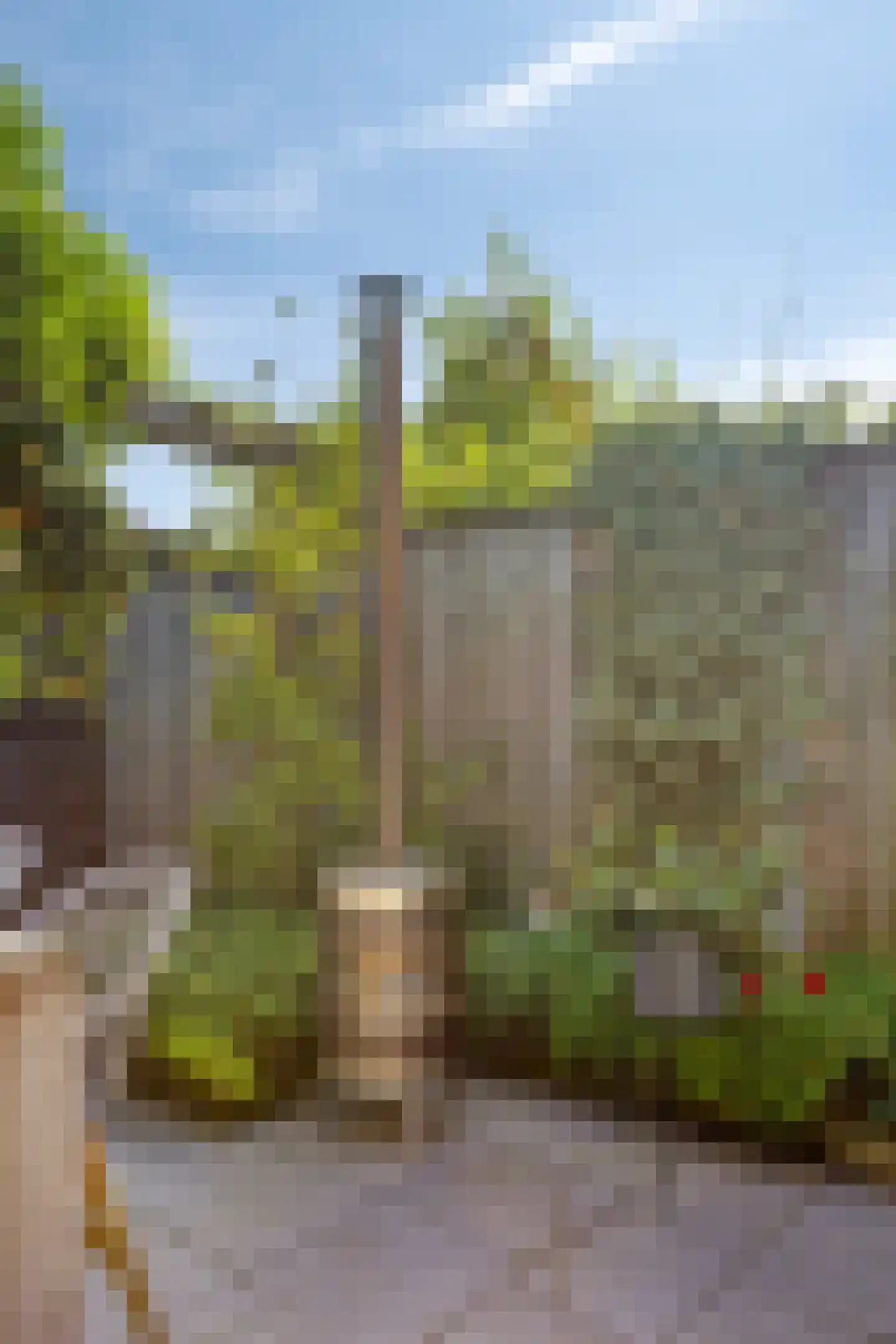 Belcamposingel 98 Groningen thumbnail 68