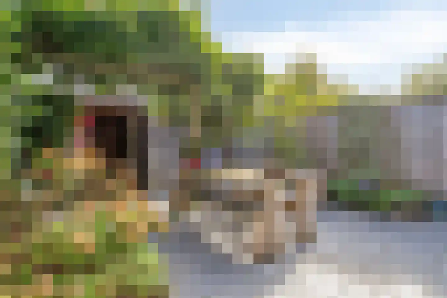 Belcamposingel 98 Groningen thumbnail 70