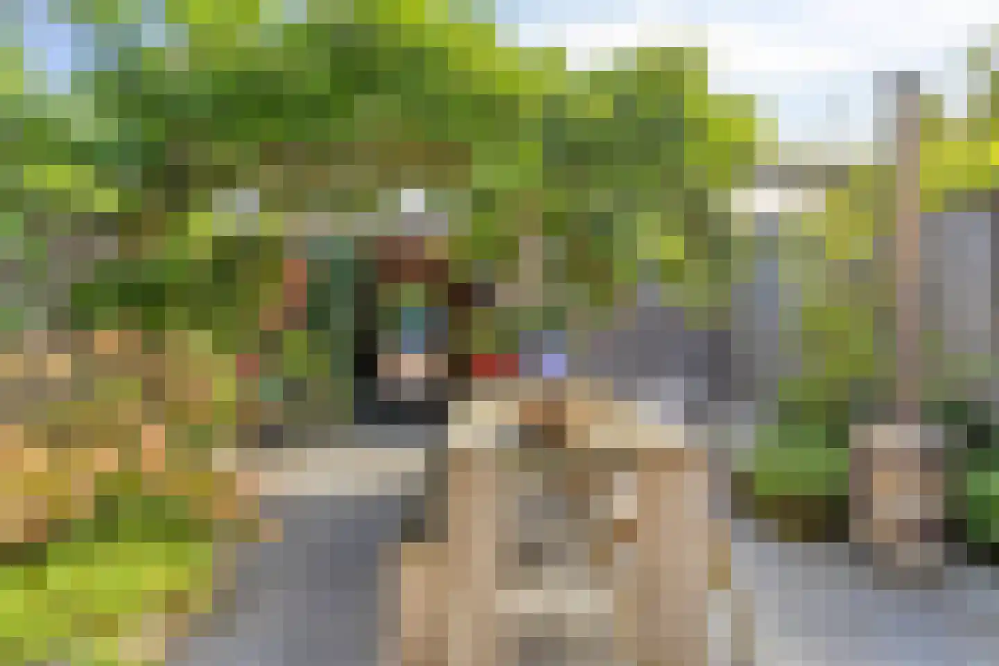 Belcamposingel 98 Groningen thumbnail 71