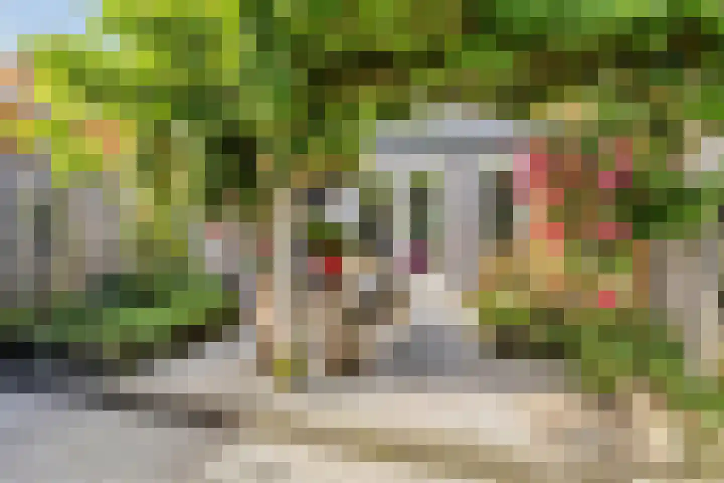 Belcamposingel 98 Groningen thumbnail 73