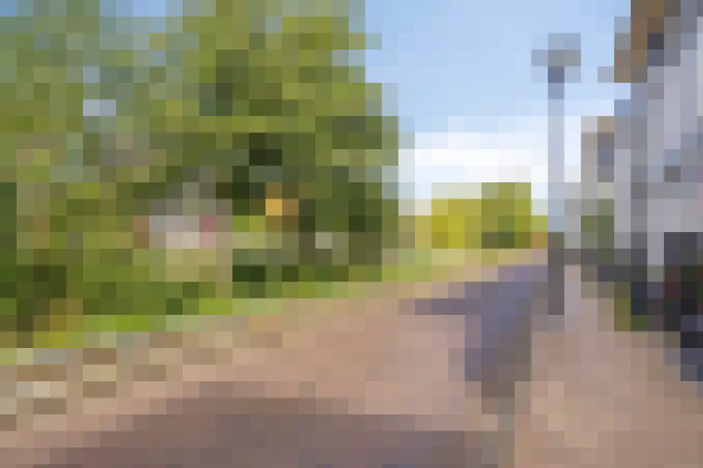 Belcamposingel 98 Groningen thumbnail 80