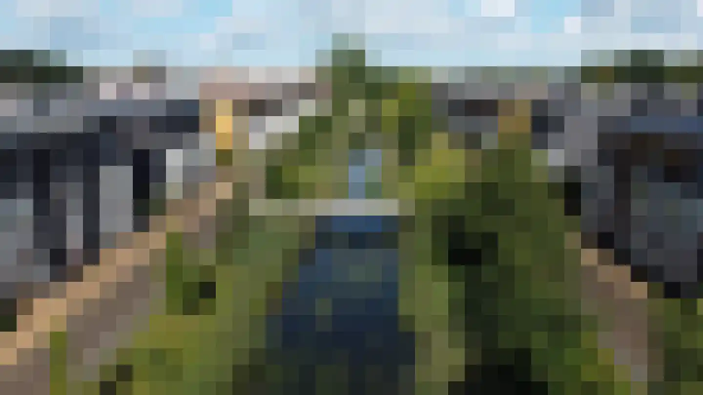 Belcamposingel 98 Groningen thumbnail 88