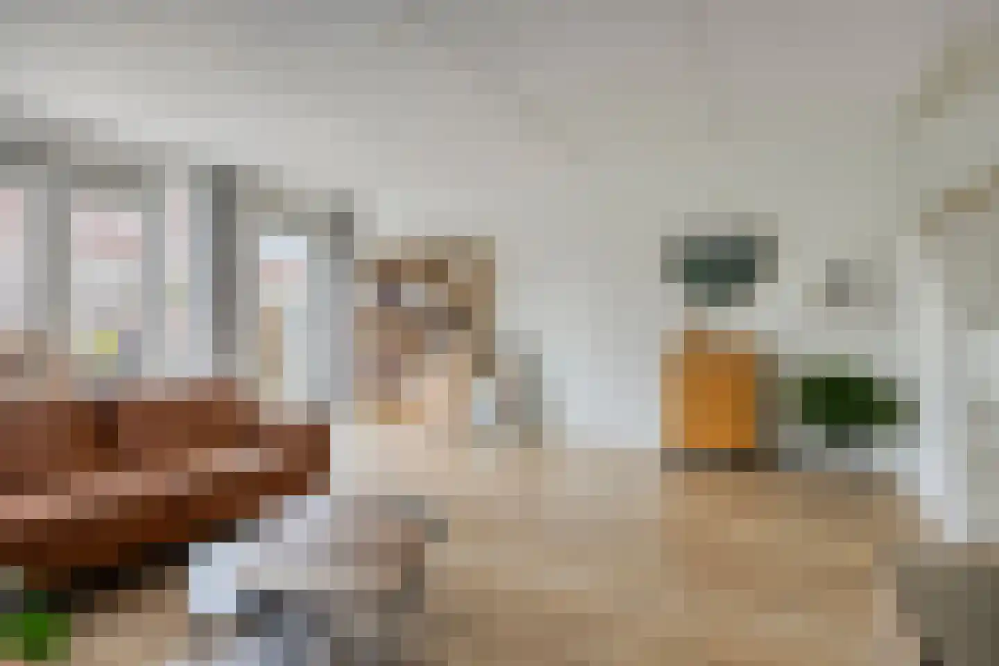 Belcampostraat 27 Berkel en Rodenrijs thumbnail 8
