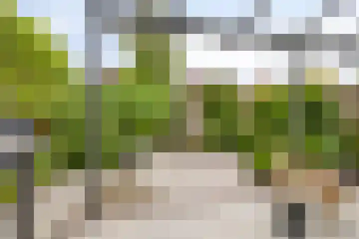 Belcampostraat 61 Berkel en Rodenrijs thumbnail 35