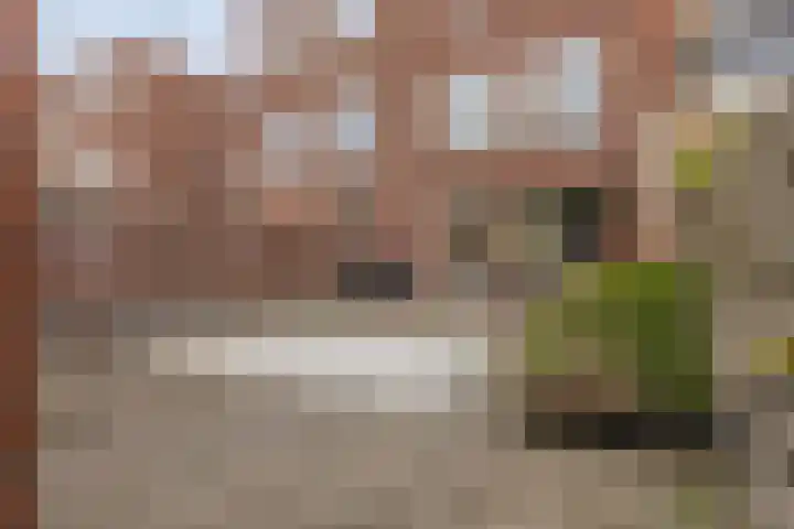Belcampostraat 85 Berkel en Rodenrijs thumbnail 21