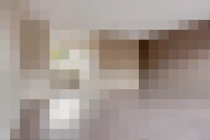 Belcampostraat 85 Berkel en Rodenrijs thumbnail 6