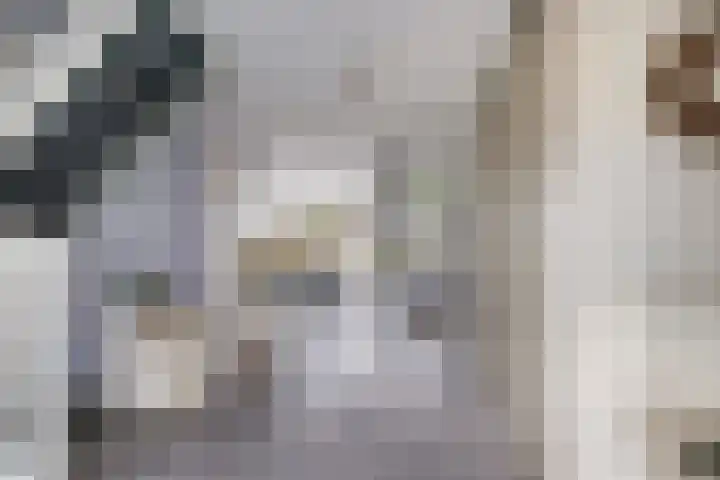 Belcantodreef 27 Krimpen aan den IJssel thumbnail 12
