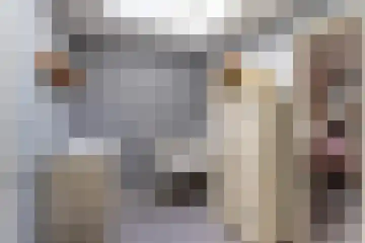 Belcantodreef 27 Krimpen aan den IJssel thumbnail 31