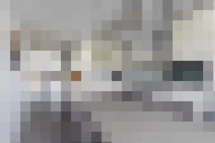 Belcantodreef 27 Krimpen aan den IJssel thumbnail 4
