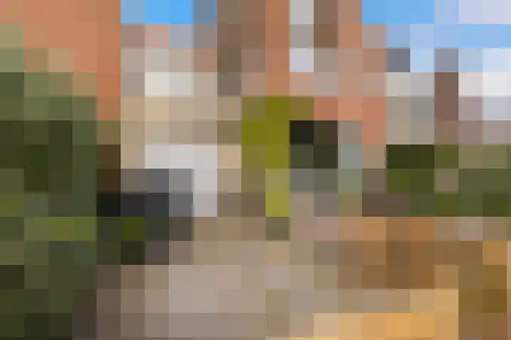 Belcantodreef 27 Krimpen aan den IJssel thumbnail 49