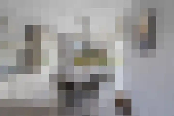 Belcantodreef 27 Krimpen aan den IJssel thumbnail 5