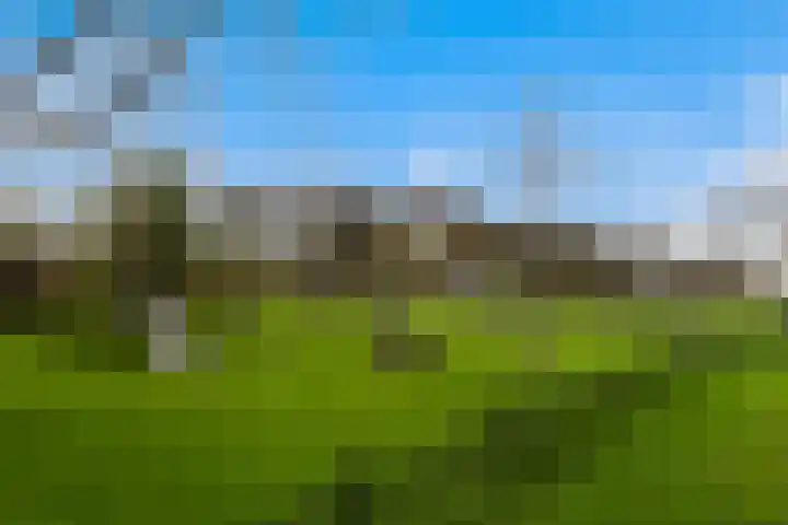 Belcantodreef 27 Krimpen aan den IJssel thumbnail 52