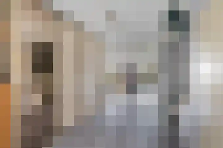 Belcantodreef 27 Krimpen aan den IJssel thumbnail 8
