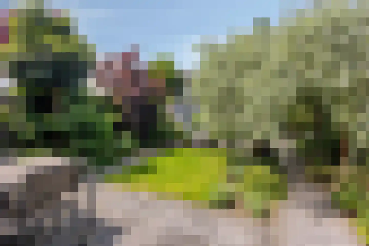 Belcantodreef 43 Krimpen aan den IJssel foto 2