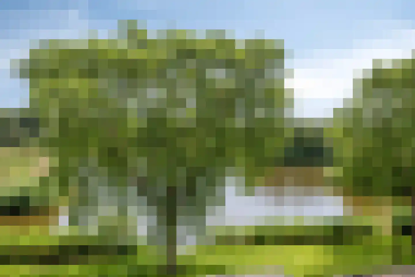Belcantodreef 43 Krimpen aan den IJssel thumbnail 24