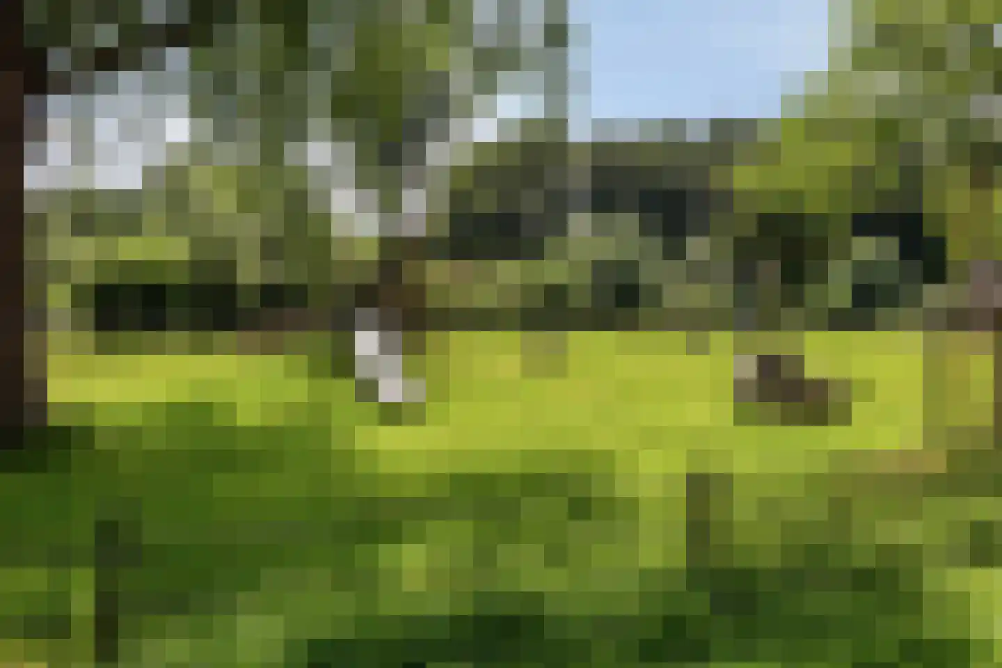 Belcantodreef 43 Krimpen aan den IJssel thumbnail 32