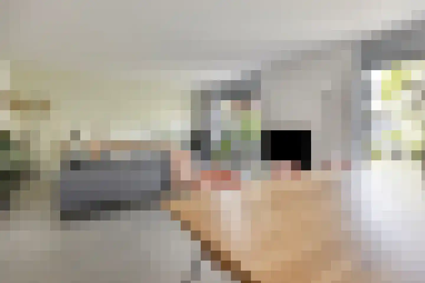 Belcantodreef 43 Krimpen aan den IJssel thumbnail 5