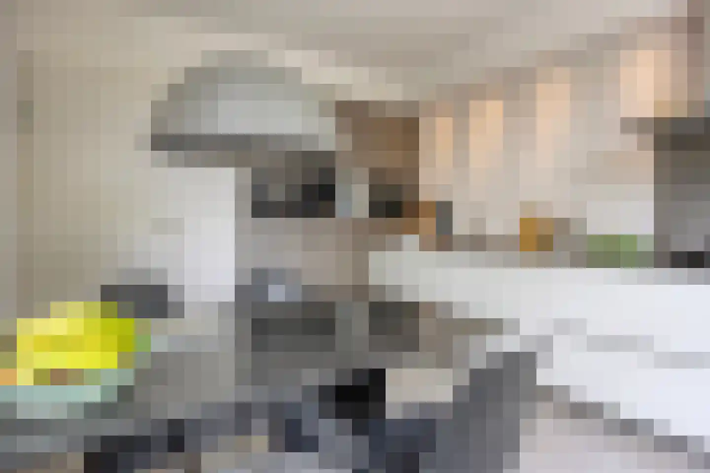 Belcantodreef 43 Krimpen aan den IJssel thumbnail 6