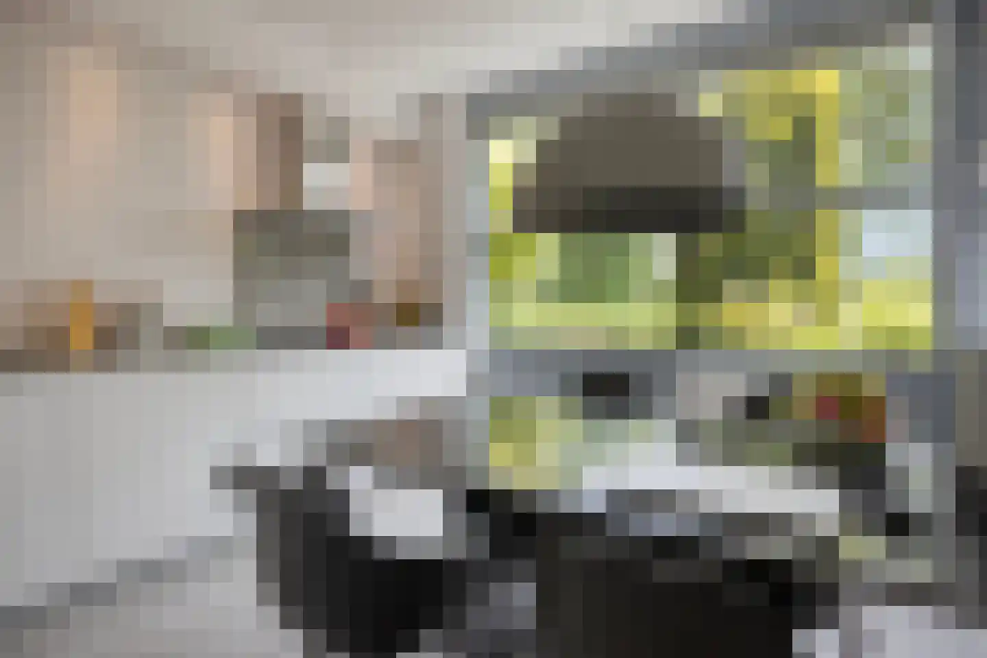 Belcantodreef 43 Krimpen aan den IJssel thumbnail 8