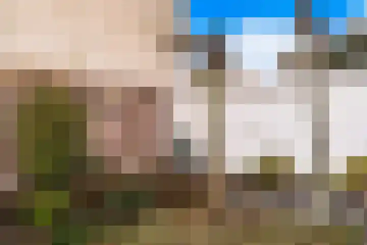 Belcantodreef 77 Krimpen aan den IJssel thumbnail 14