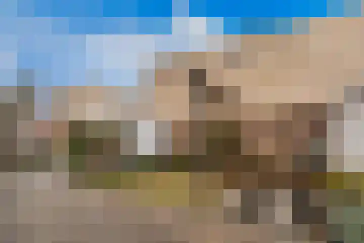Belcantodreef 77 Krimpen aan den IJssel thumbnail 15